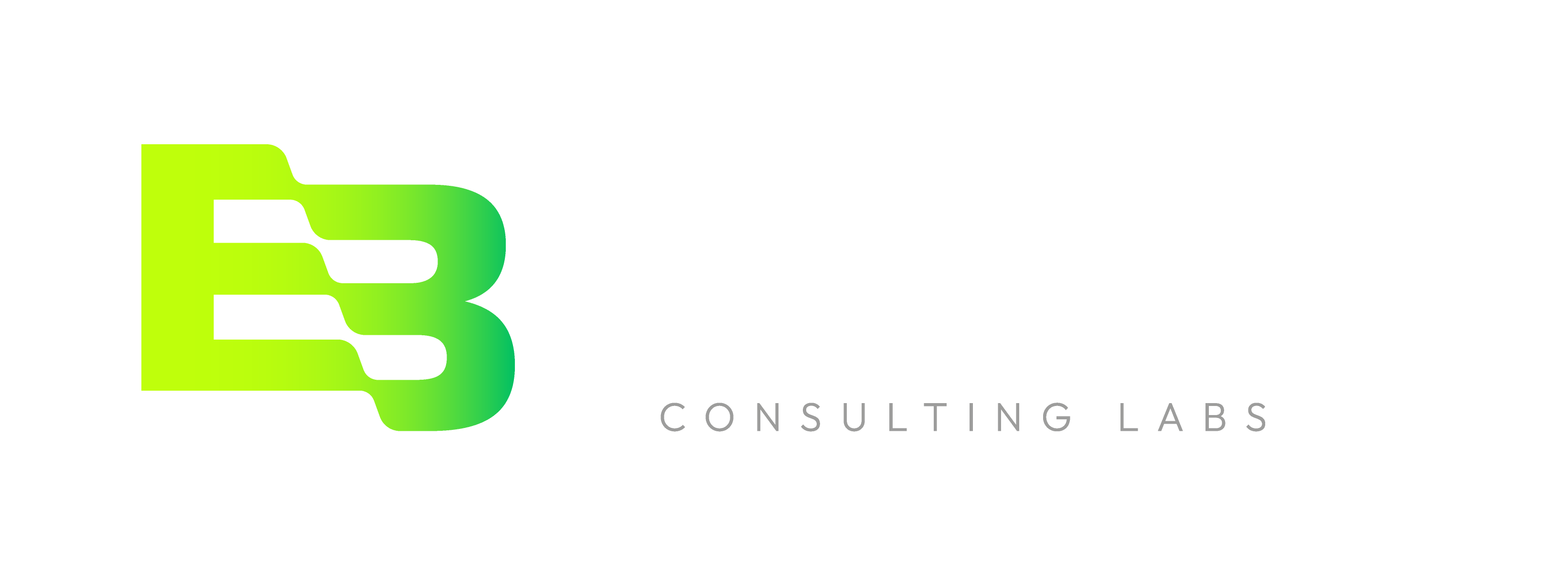 Bowery Consulting Labs